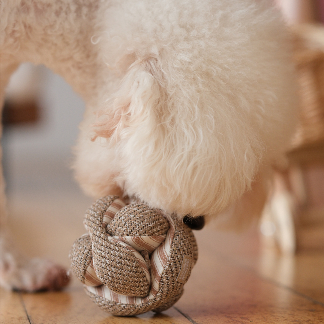 Lambwolf Collective - Mini Monti Enrichment Snuffle Dog Toy - Espresso