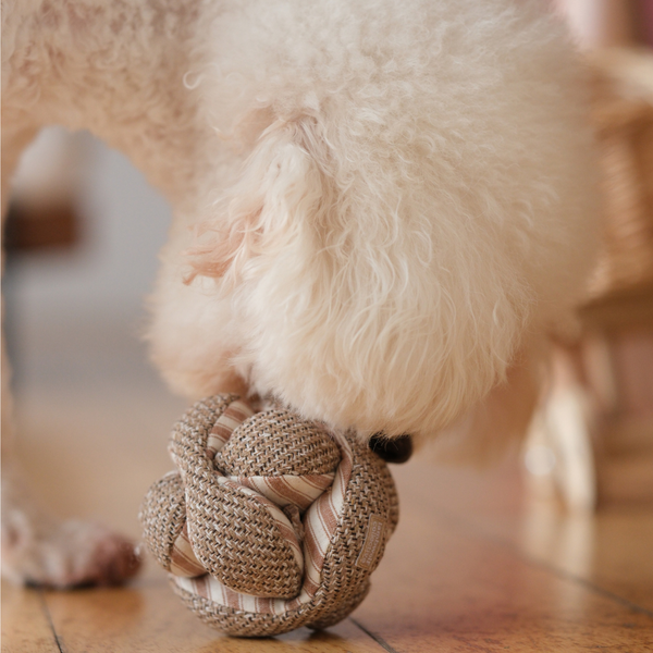 Lambwolf Collective - Mini Monti Enrichment Snuffle Dog Toy - Espresso