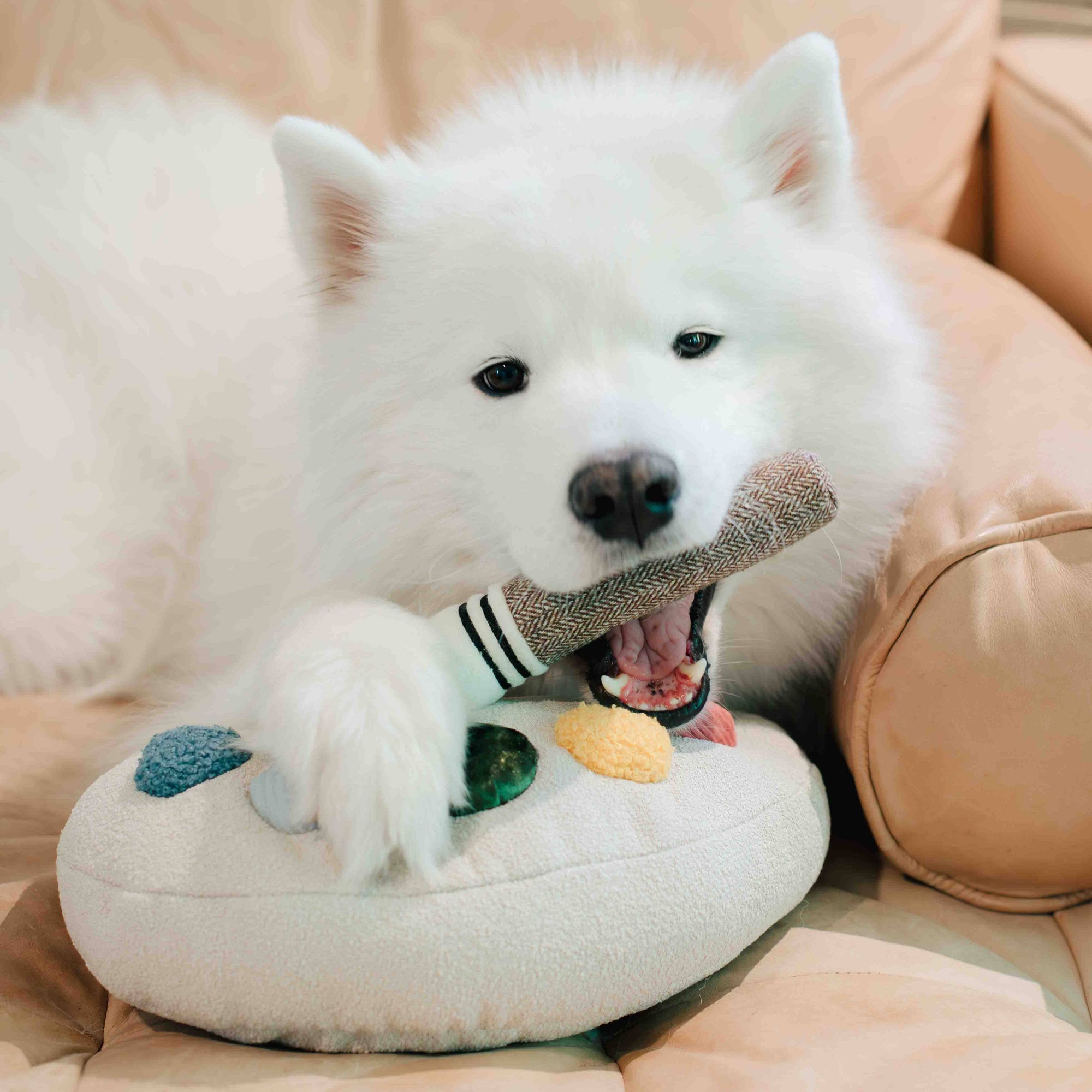 Lambwolf Collective - Color Palette Set - Enrichment Dog Toy - Cuddle + Squeaky