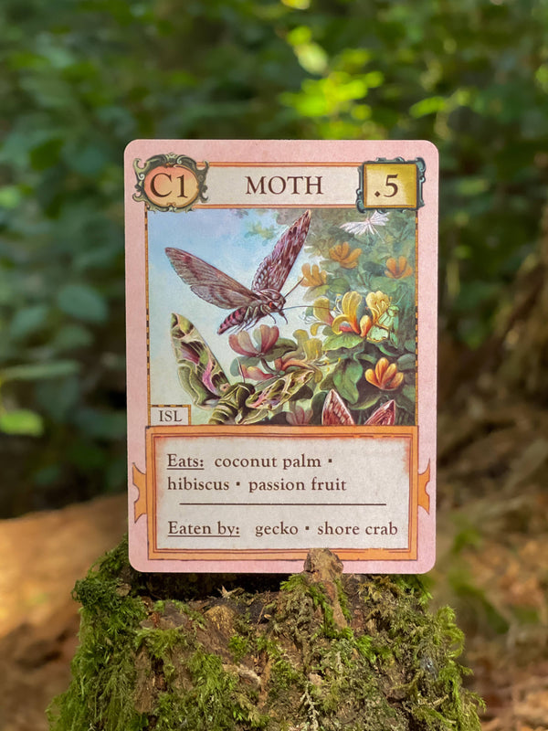 Ecologies: Hidden Habitats - Card Game