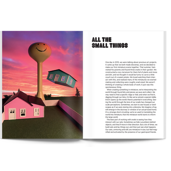 Snail World: Life in the Slimelight Book - Space Camp