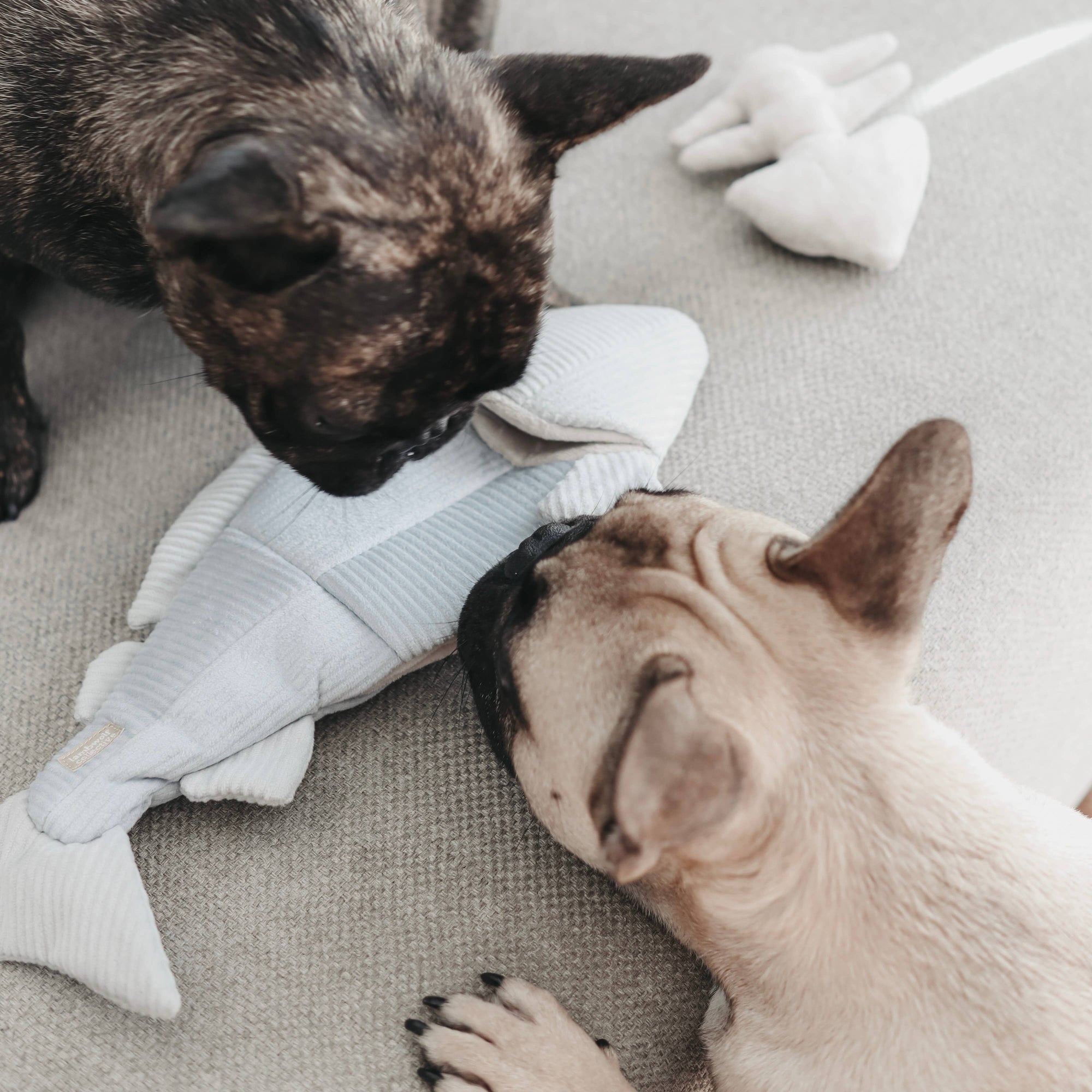 Lambwolf Collective - Enrichment Dog Toy - Trout