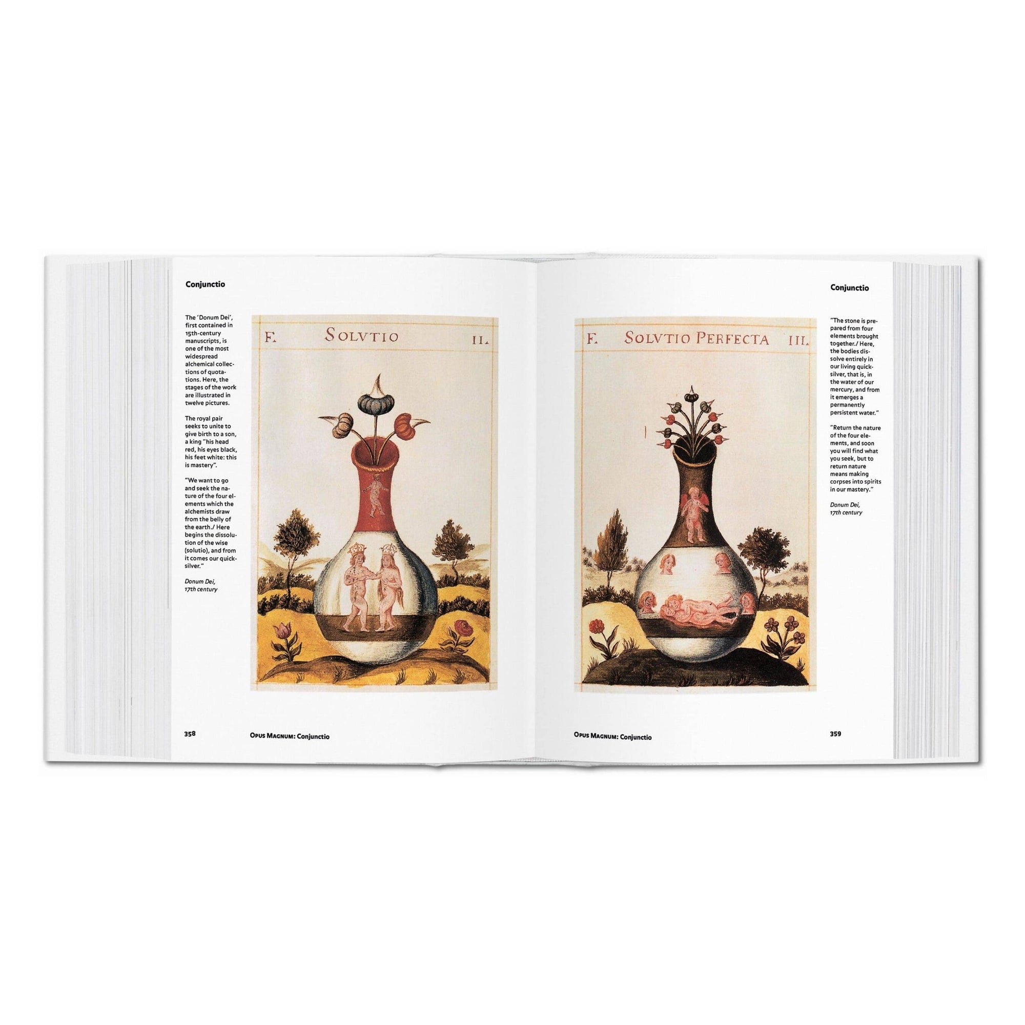 Alchemy & Mysticism (English)