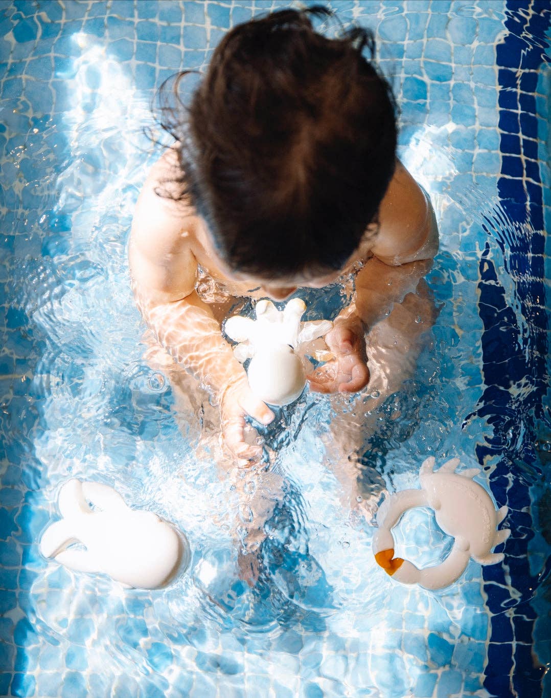 Oli & Carol - Bath Toy - Orlando the Octopus