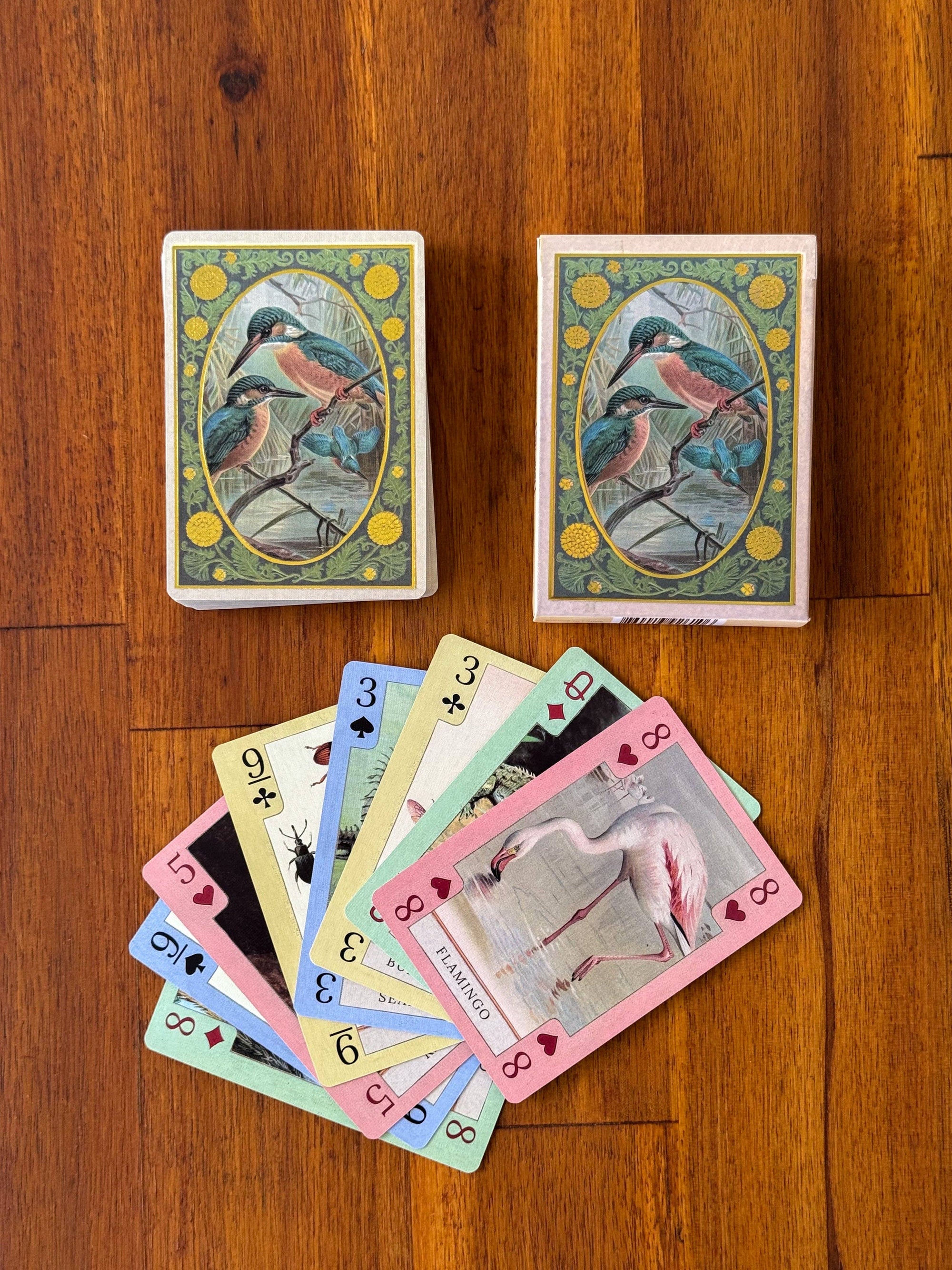 Vintage Art Playing Cards - Fish, Birds, Herps, and Inverts
