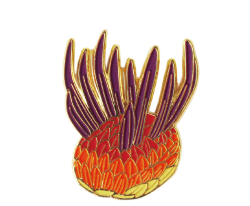 Wiwaxia Enamel Pin (Wiwaxia corrugata)