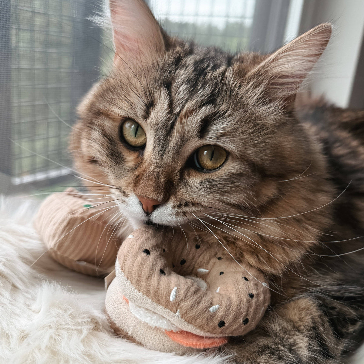 Lambwolf Collective - Kitty Pizza & Bagel Cat Toy Set