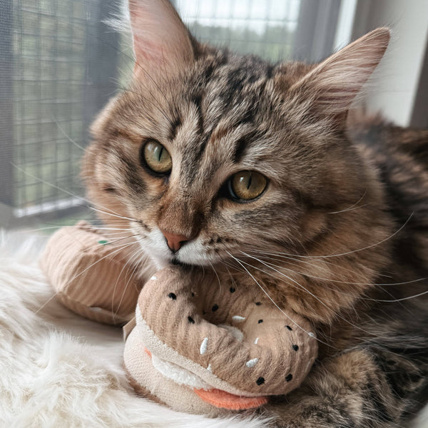 Lambwolf Collective - Cat Toy Set - Kitty Pizza & Bagel