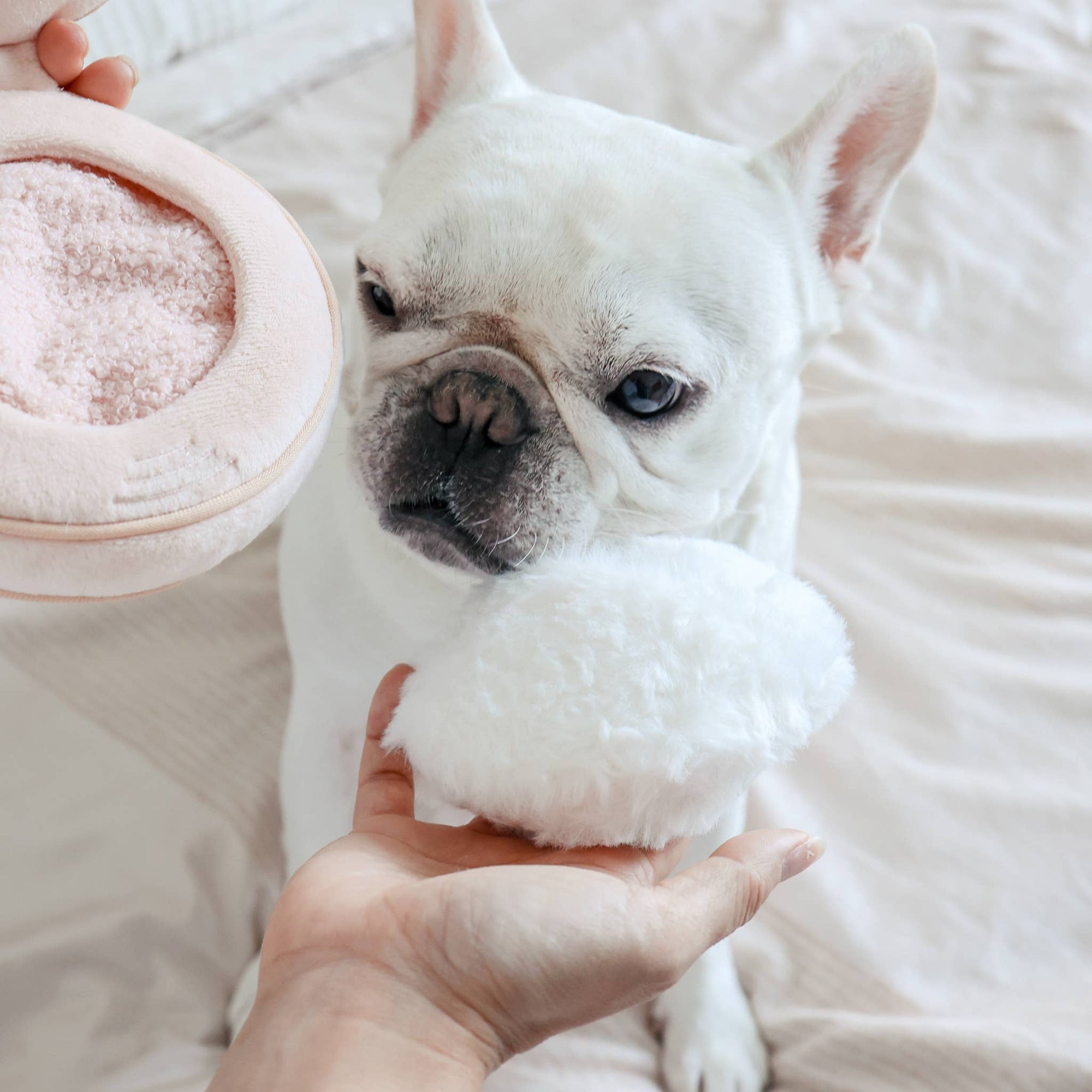 Lambwolf Collective - BLUSH // ENRICHMENT DOG TOY // SNUFFLE
