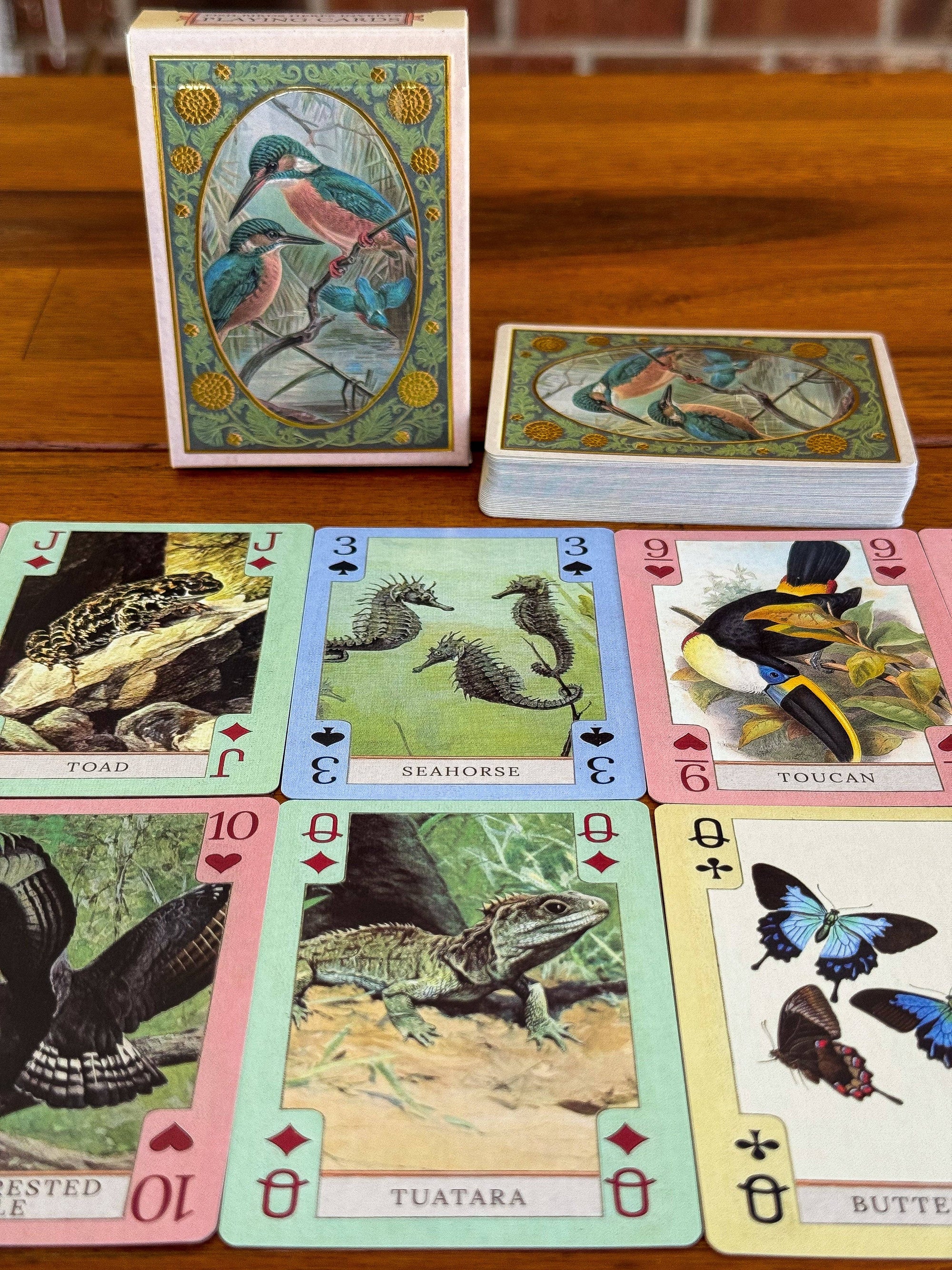 Vintage Art Playing Cards - Fish, Birds, Herps, and Inverts