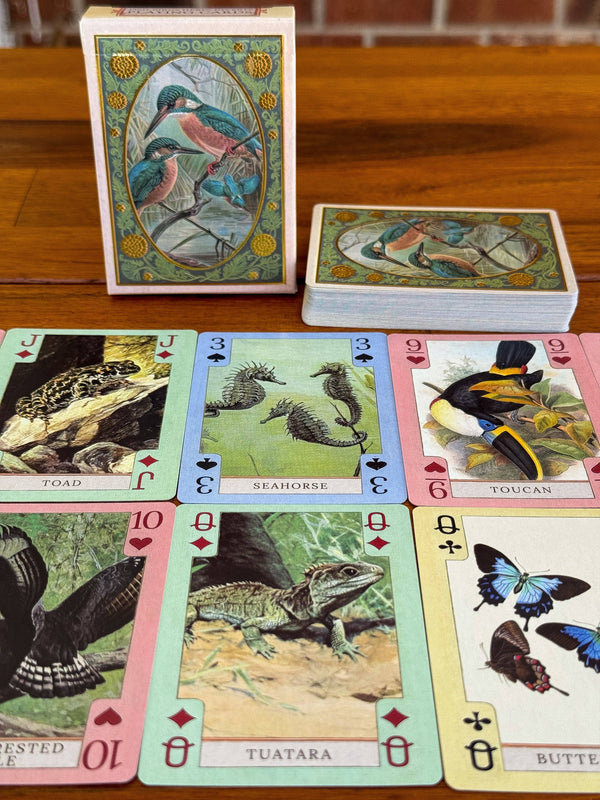Vintage Art Playing Cards - Fish, Birds, Herps, and Inverts