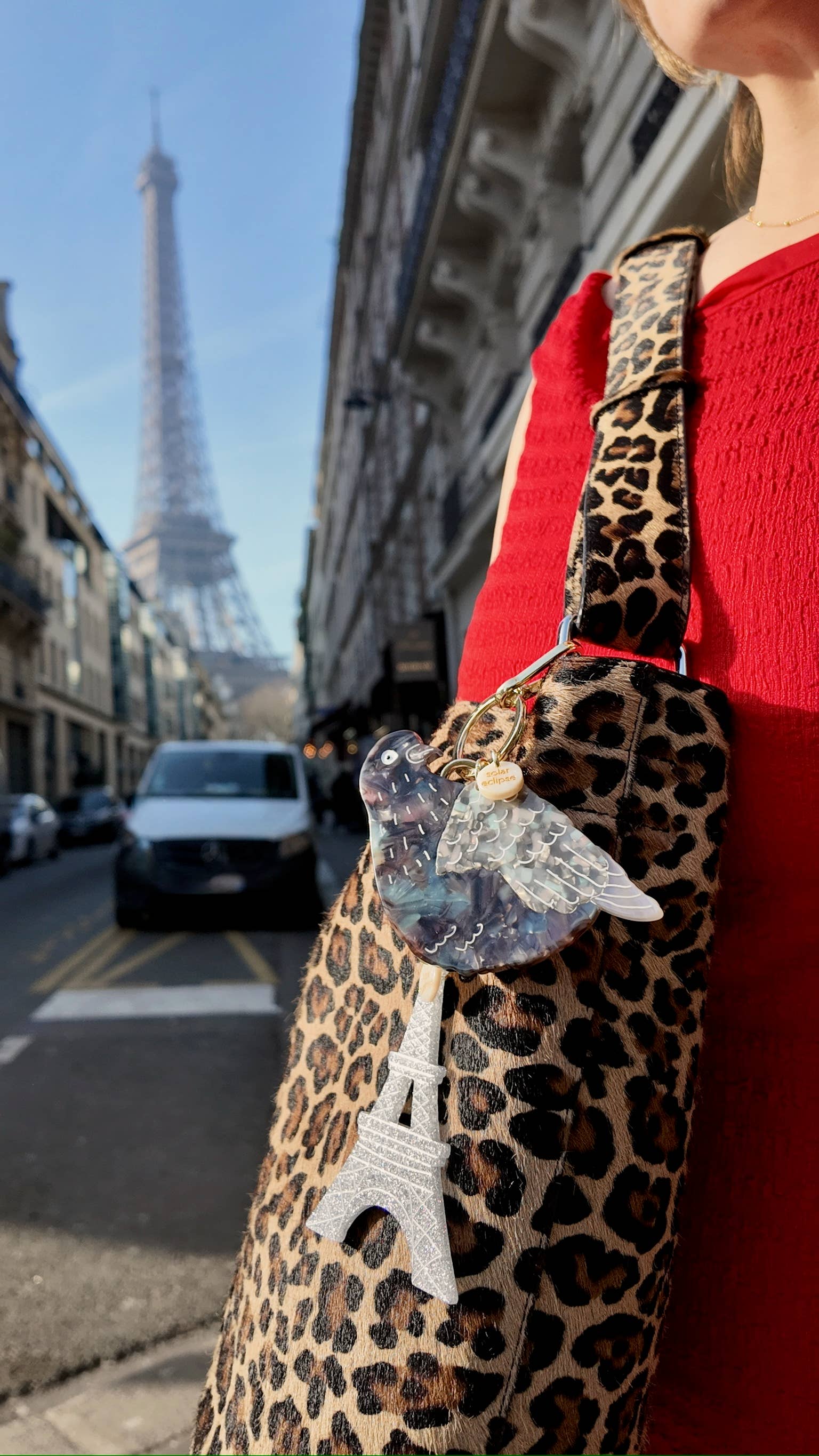 Solar Eclipse - Bag Charm + Keychain - Pigeon