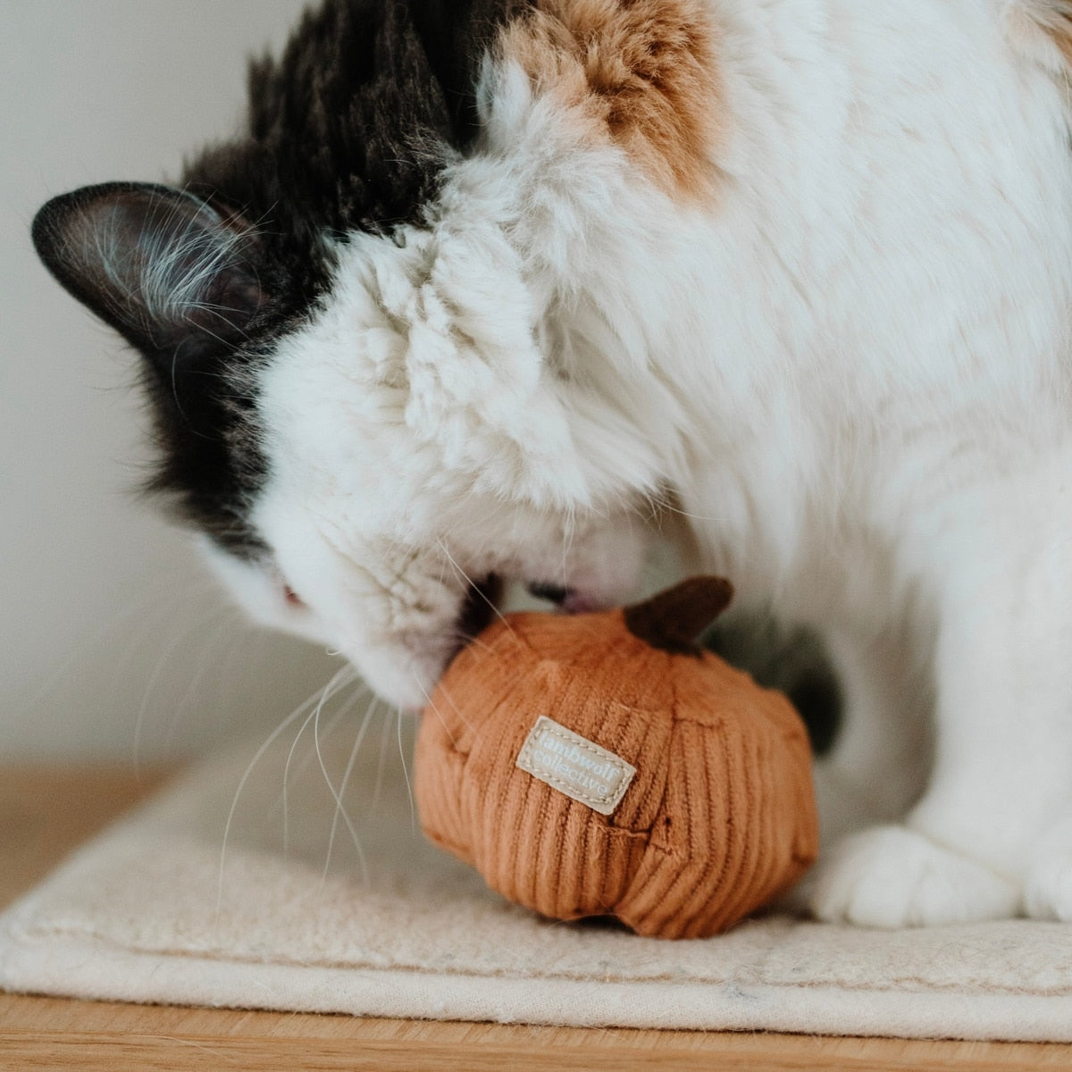 Lambwolf Collective -  Catnip Cat Toys - Kitty Veggie Set