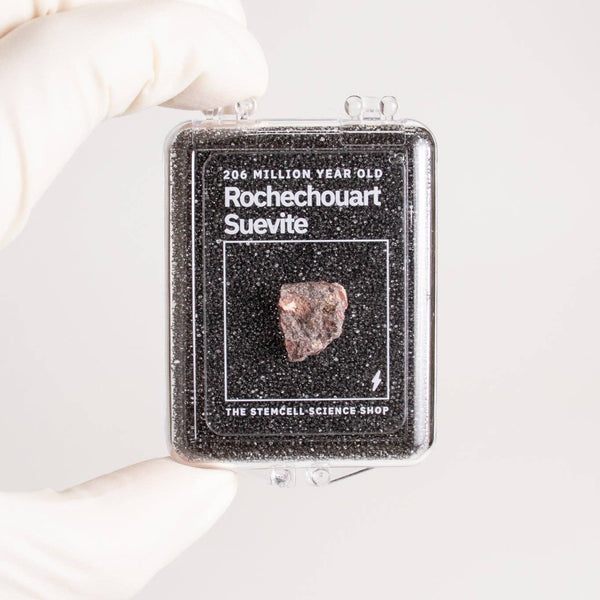 Suevite Fragment
