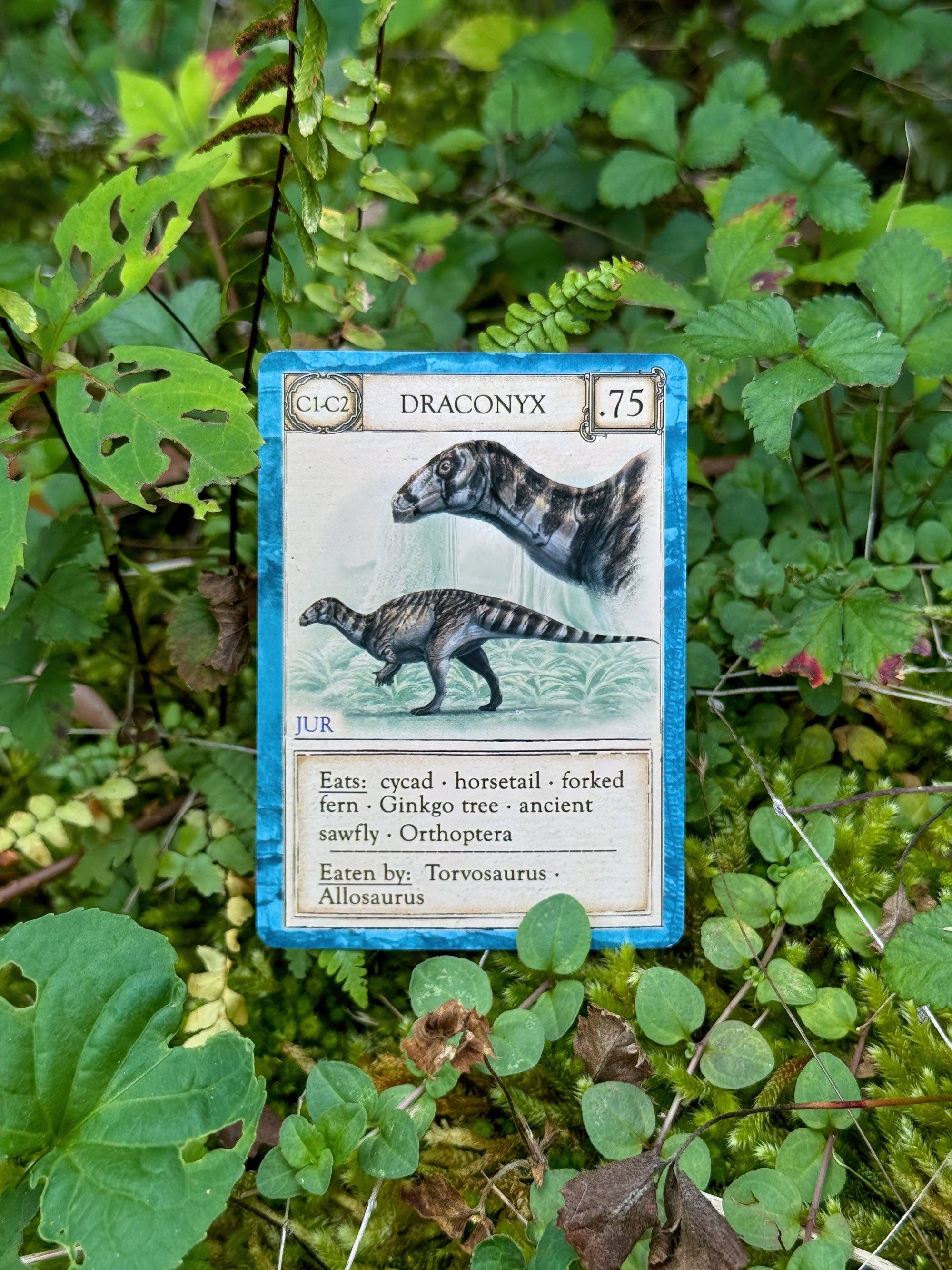 Ecologies: Ancient Areas - Card Game