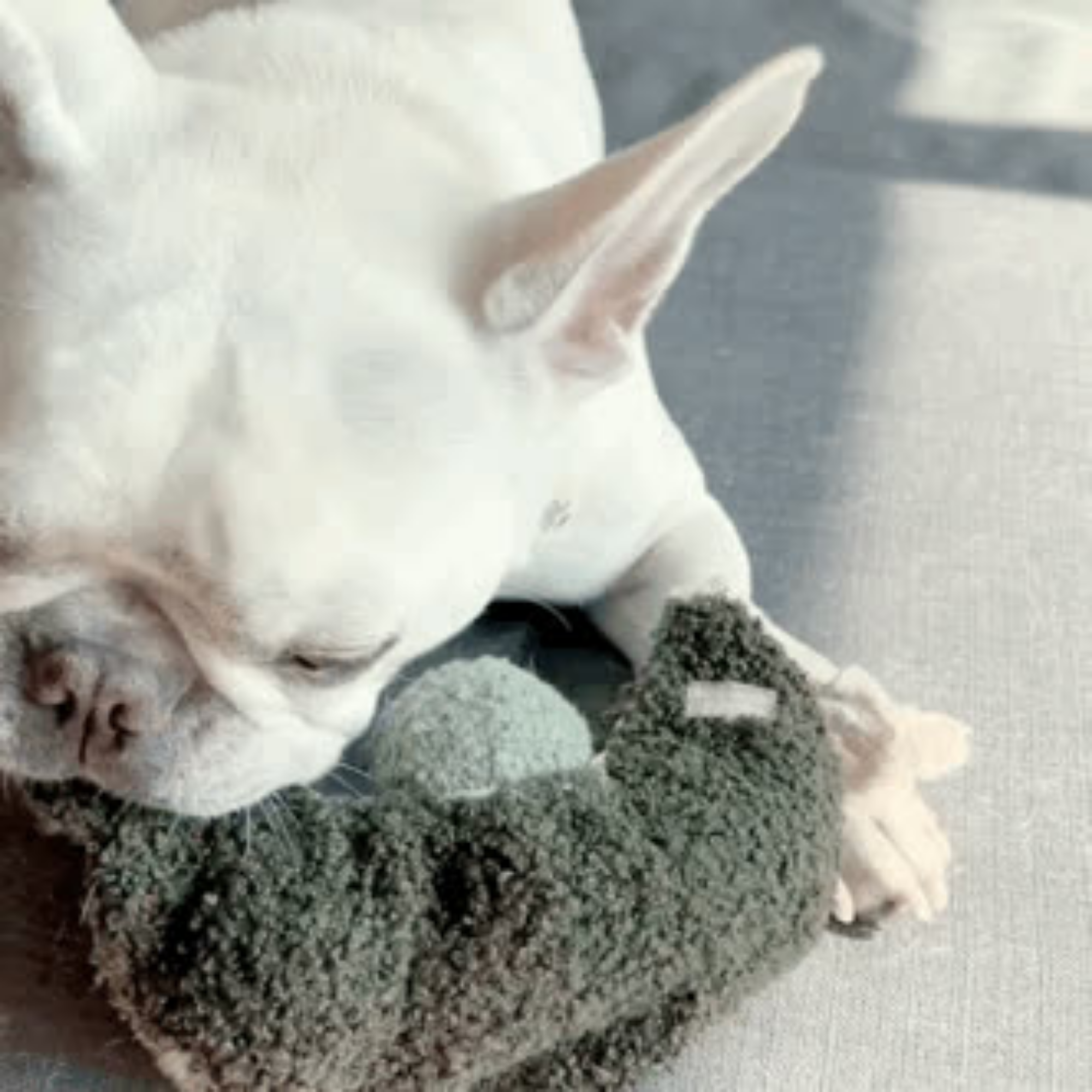 Lambwolf Collective - Enrichment Snuffle Toy - Pea Pop