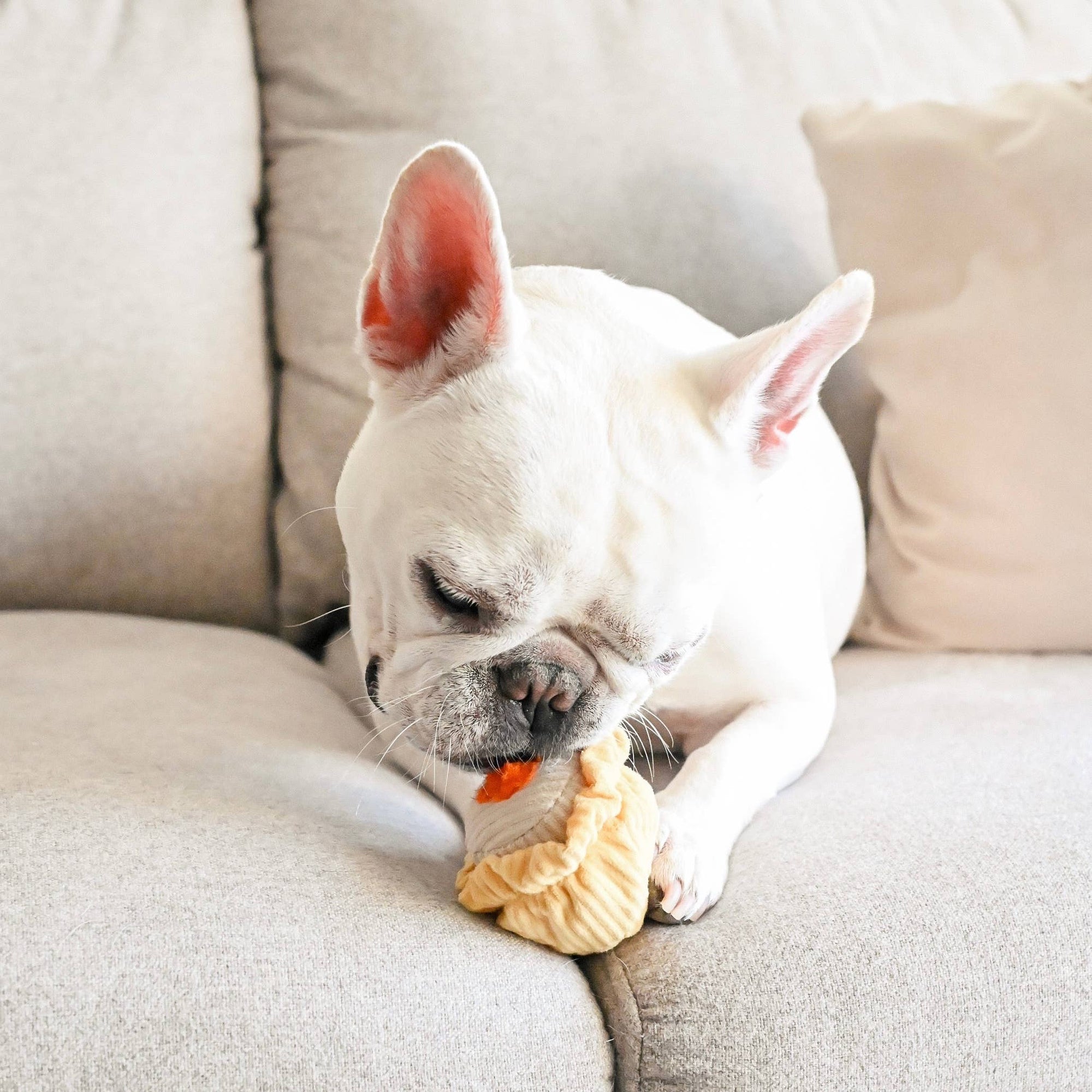 Lambwolf Collective - Dim Sum Pop // Enrichment dog toy