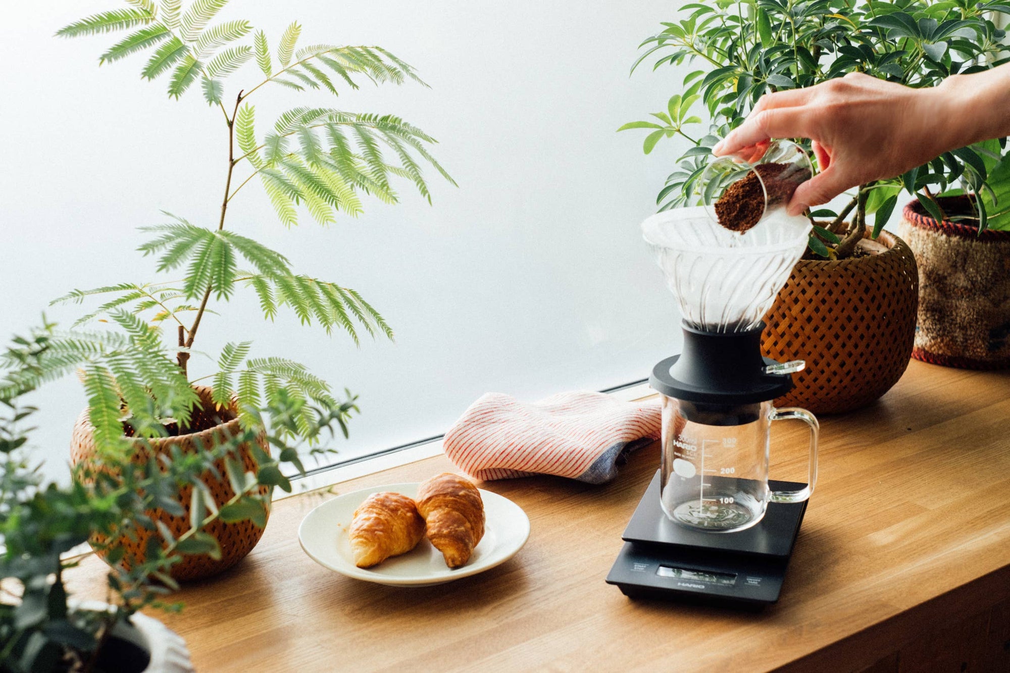 Hario - Glass Immersion Dripper SWITCH