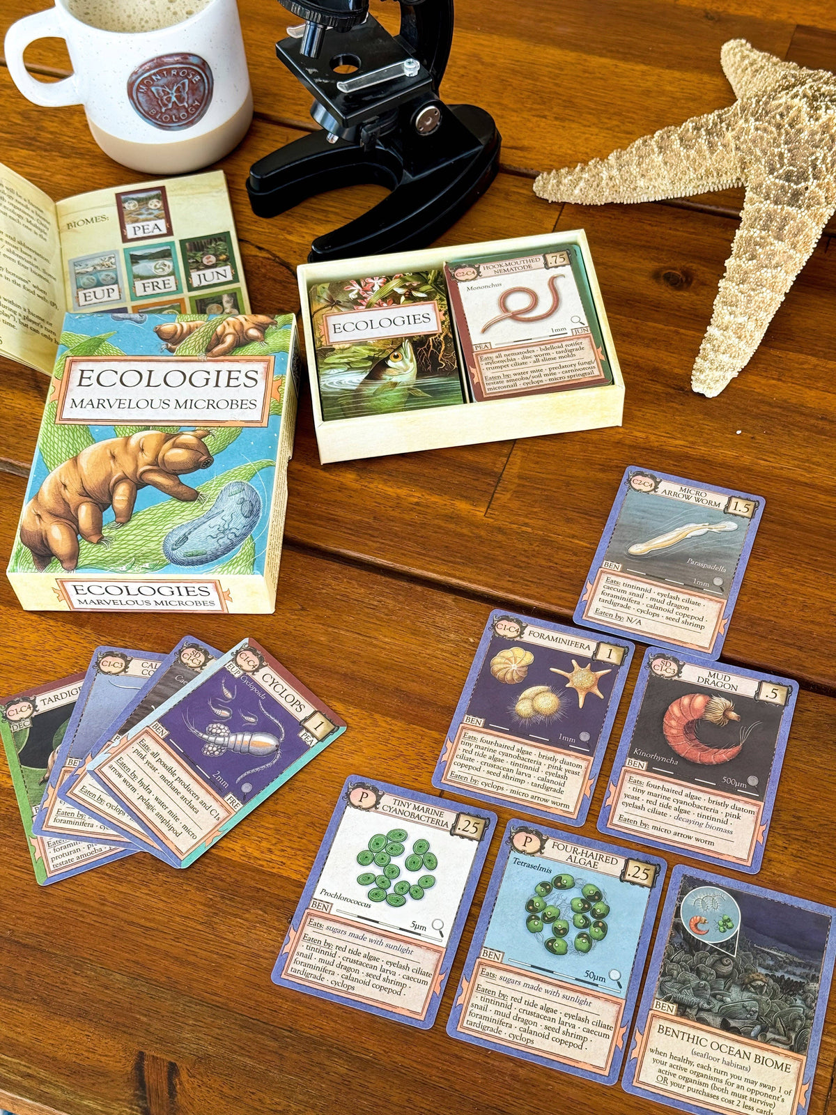 Ecologies: Marvelous Microbes