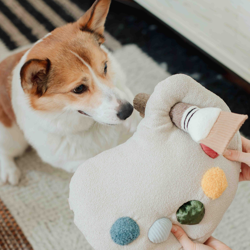 Lambwolf Collective - Color Palette Set - Enrichment Dog Toy - Cuddle + Squeaky
