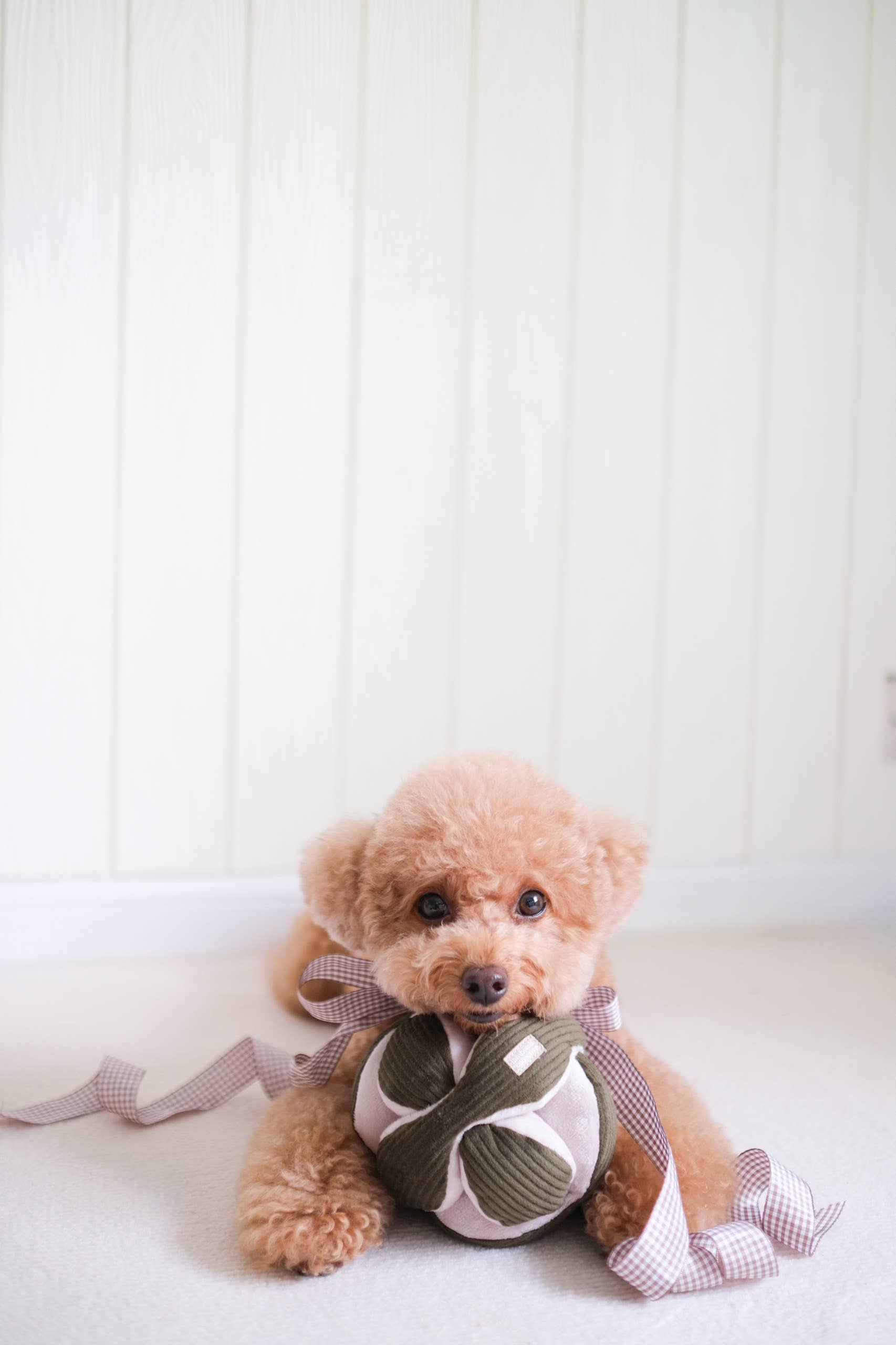 Lambwolf Collective - MONTI* // ENRICHMENT DOG TOY // SNUFFLE TOY // 3 Color*Best*: Pink
