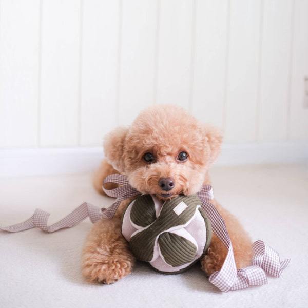 Lambwolf Collective - MONTI* Enrichment Snuffle Dog Toy - Pink
