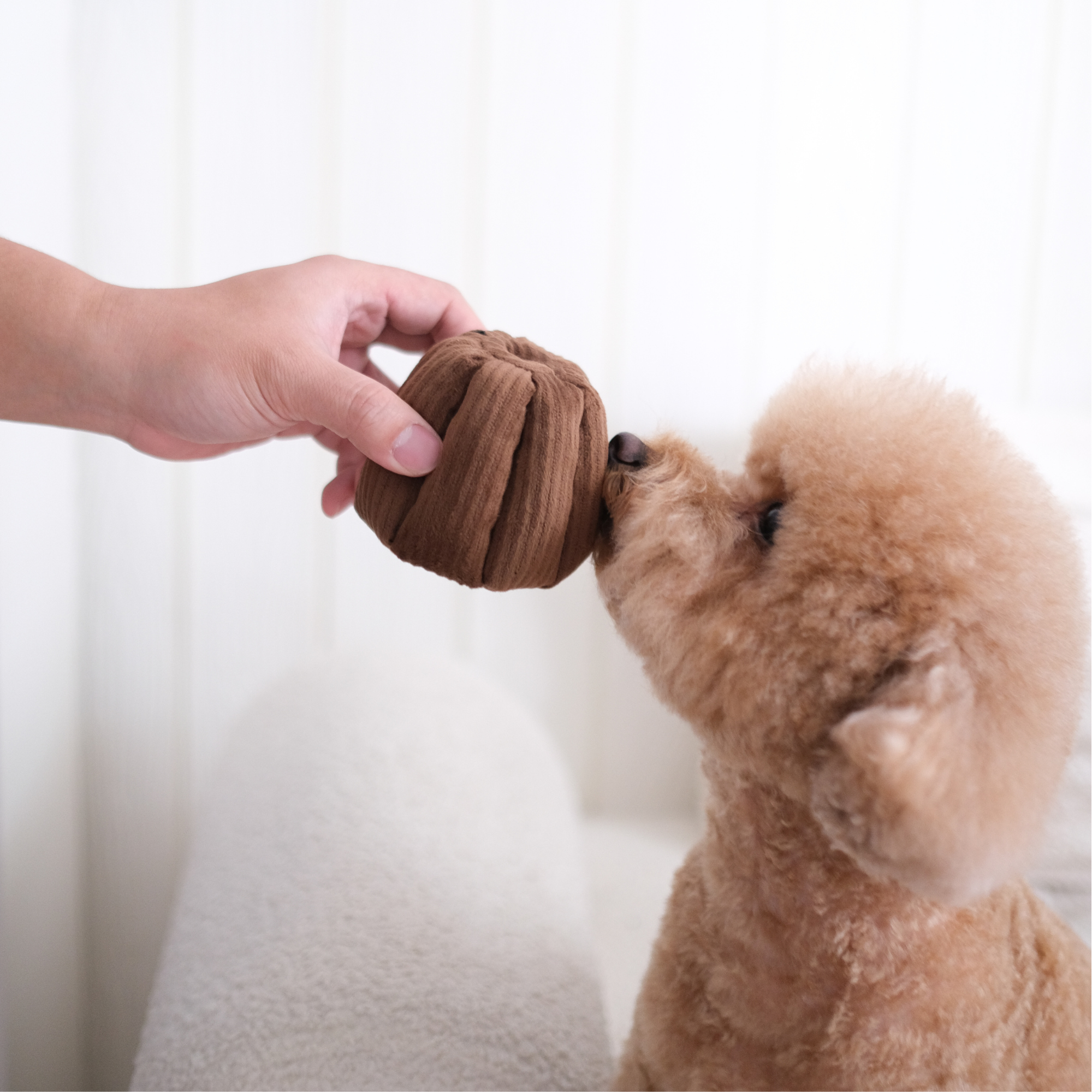 Lambwolf Collective - Enrichment Snuffle + Squeaky Dog Toy - Canele