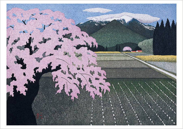 Cherry Trees Boxed Notecard Assortment by Kazuyuki Ohtsu