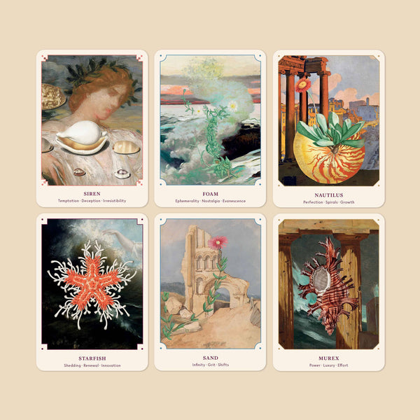 The Seashell Oracle: 44 Card Deck and Guidebook - Space Camp
