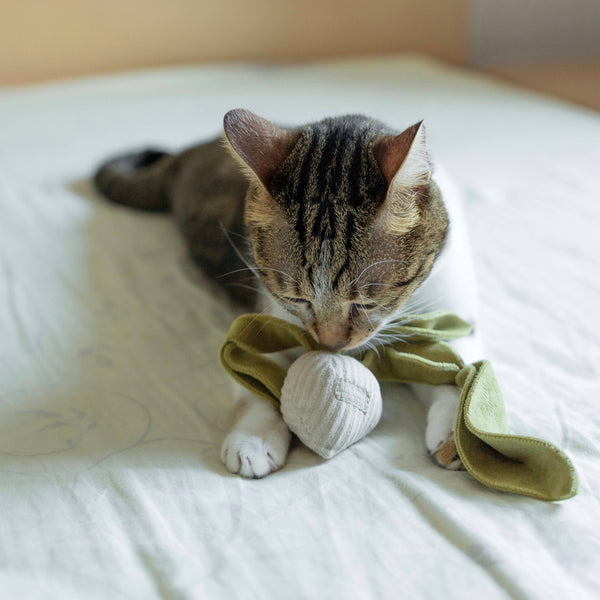 Lambwolf Collective - Cat Toy - Small Radish - Cream