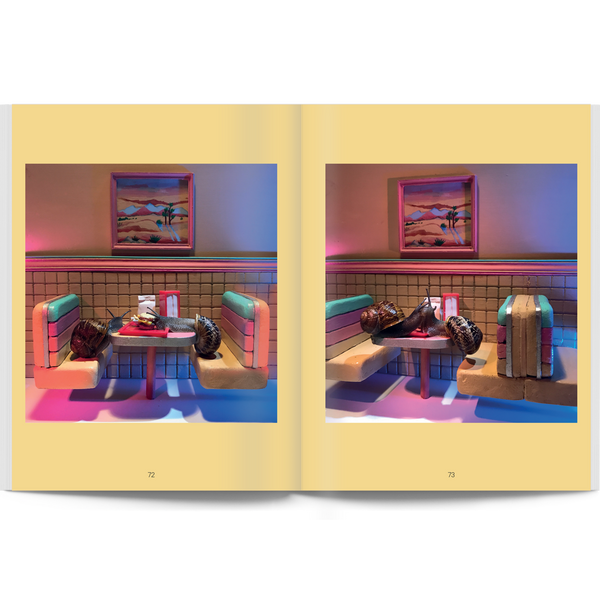 Snail World: Life in the Slimelight Book - Space Camp