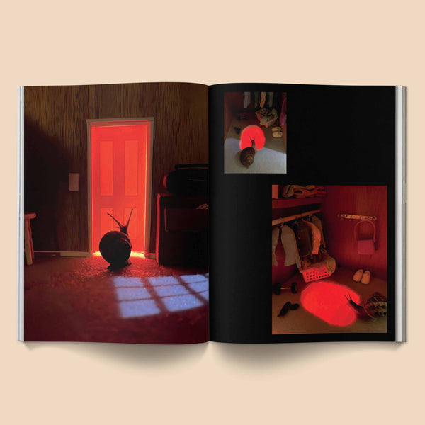 Snail World 2: Welcome to Slimetown Coffee Table Book - Space Camp