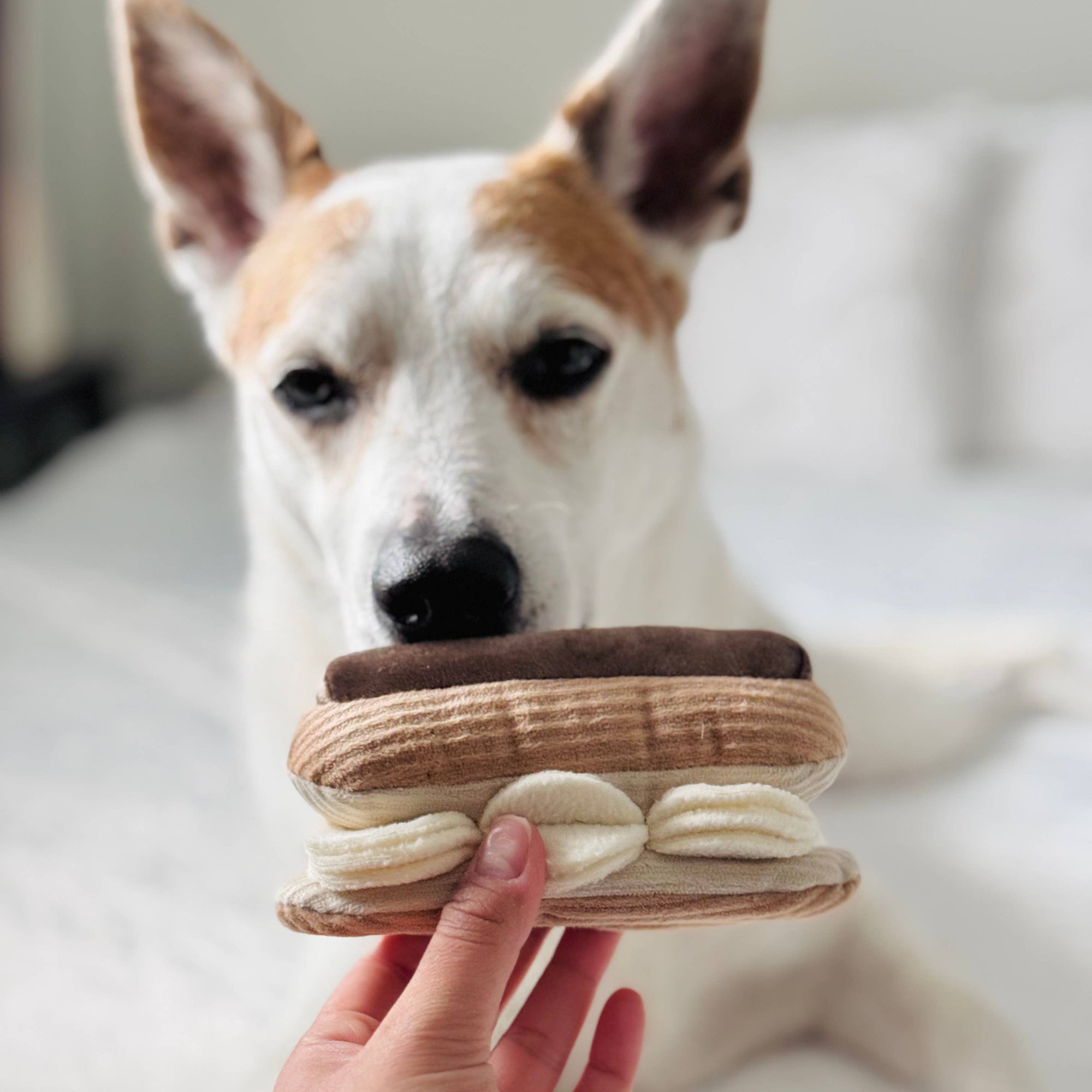 Lambwolf Collective - Enrichment Snuffle Dog Toy - Eclair