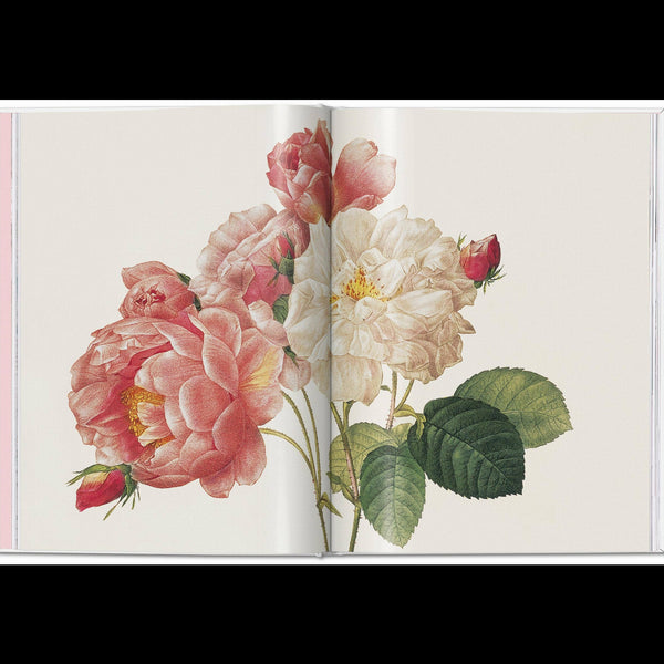 Redouté's Roses