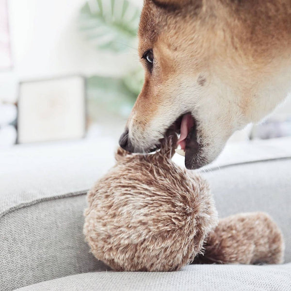 Lambwolf Collective - Enrichment Dog Toy - Squirrel Pop