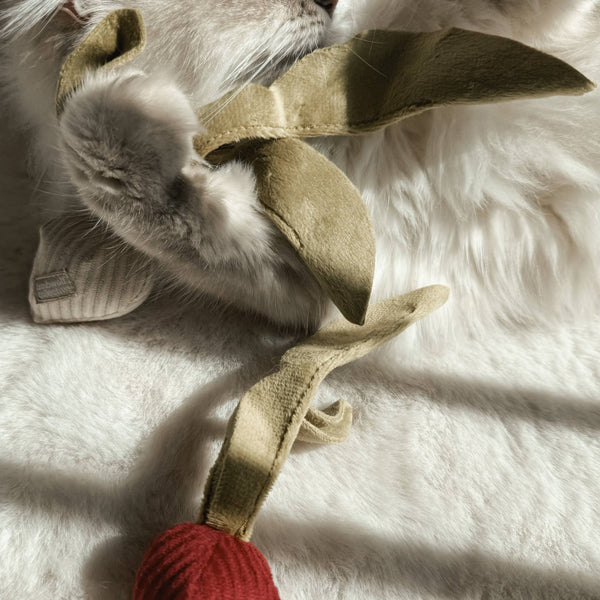 Lambwolf Collective - Cat Toy - Kitty Catnip Radish - Beet