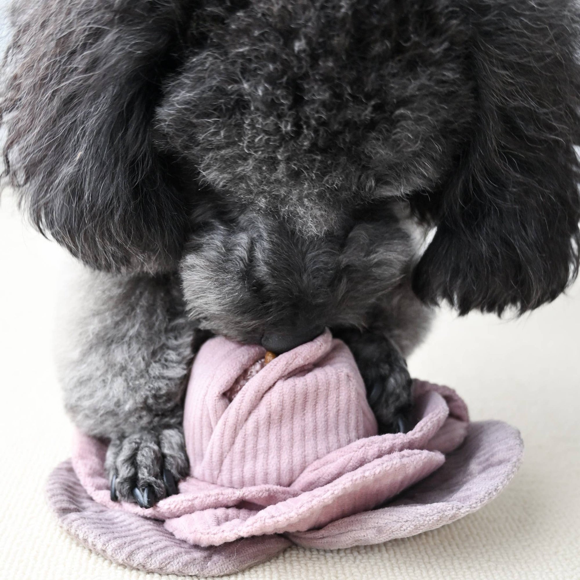 Lambwolf Collective - Cabbage Pop // Enrichment Dog Toy