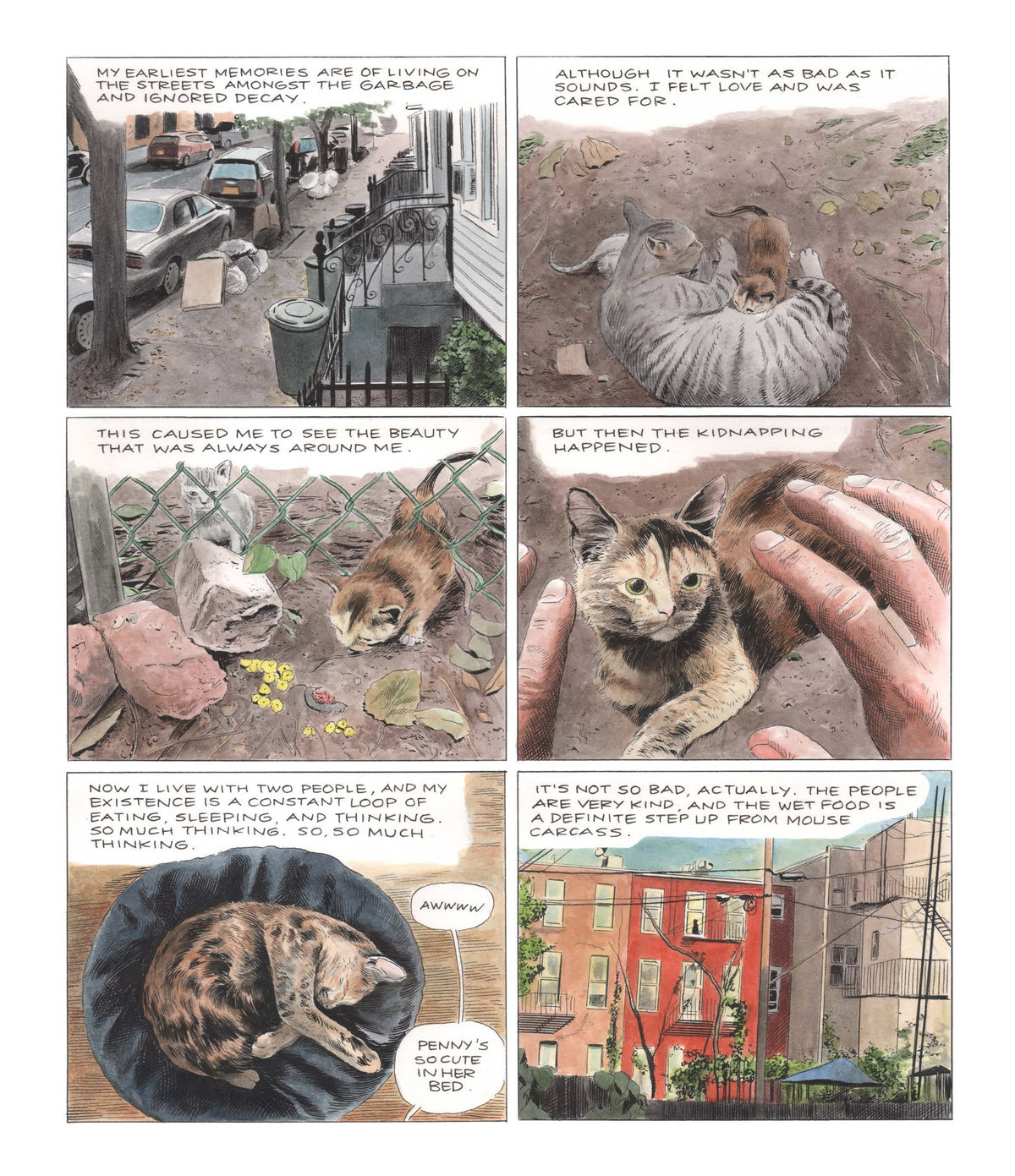 Penny: A Graphic Memoir by Karl Stevens