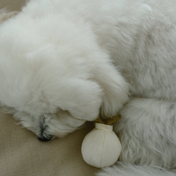 Lambwolf Collective - Enrichment Dog Toy - Garlic Pop