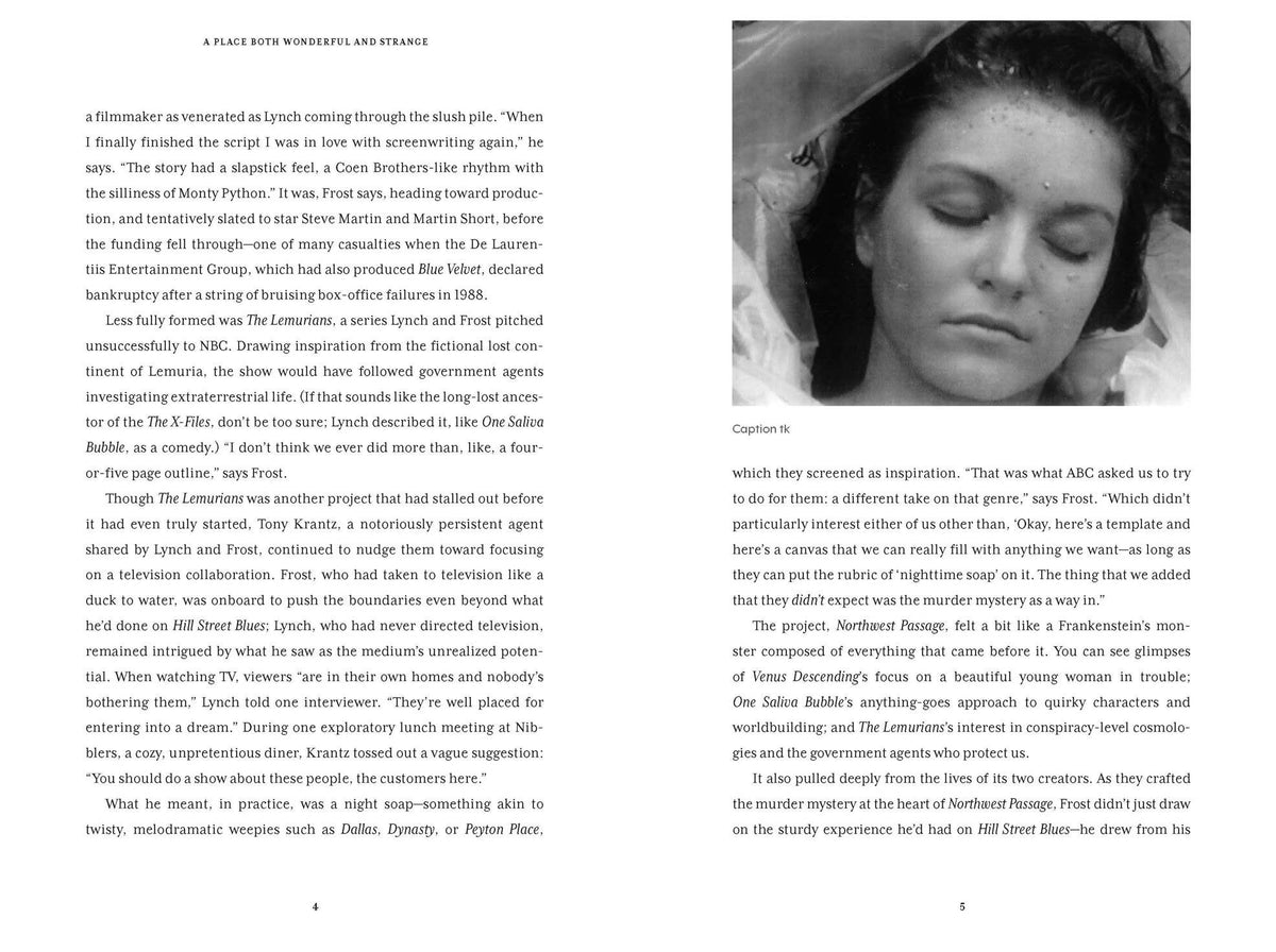 A Place Both Wonderful and Strange: The Extraordinary Untold History of Twin Peaks by Scott Meslow
