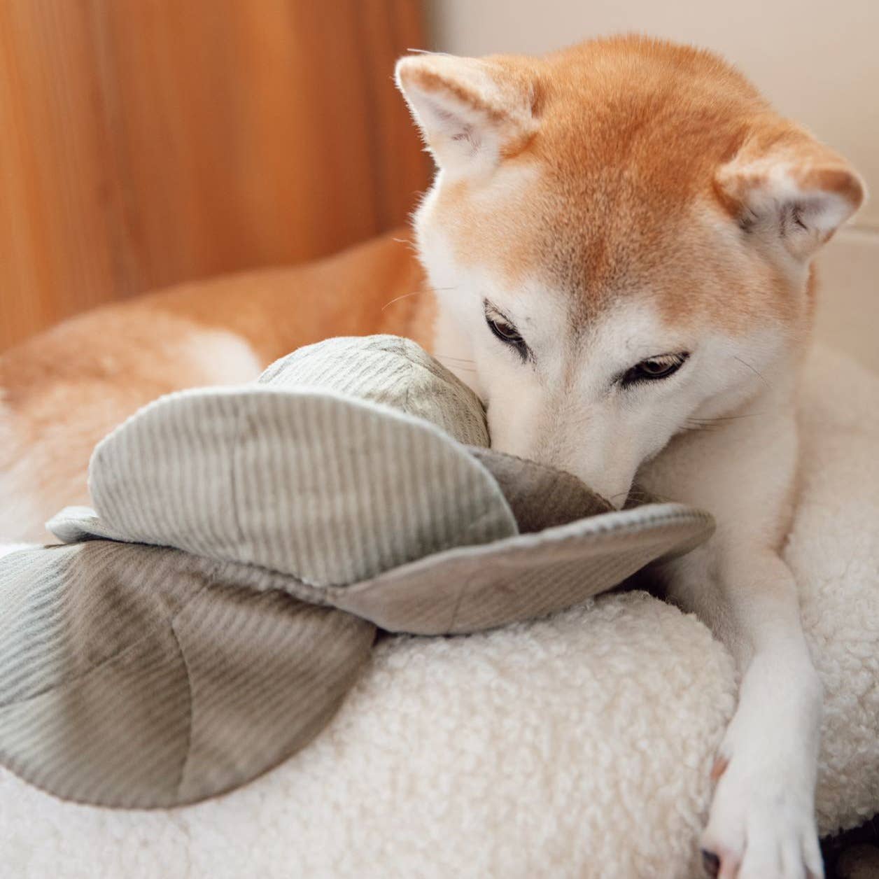 Lambwolf Collective - Cabbage Pop // Enrichment Dog Toy