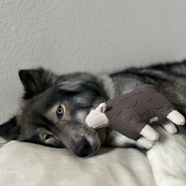 Lambwolf Collective - Squeaky + Cuddle Dog Toy - Barry