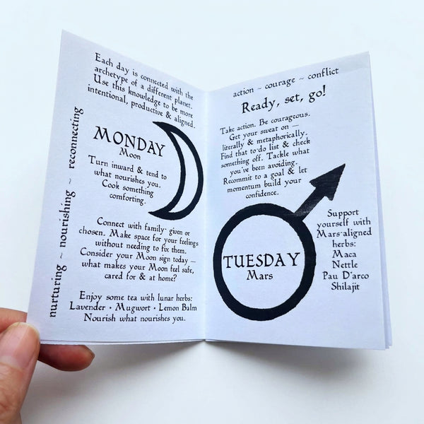 Planetary Days - Mini Zine