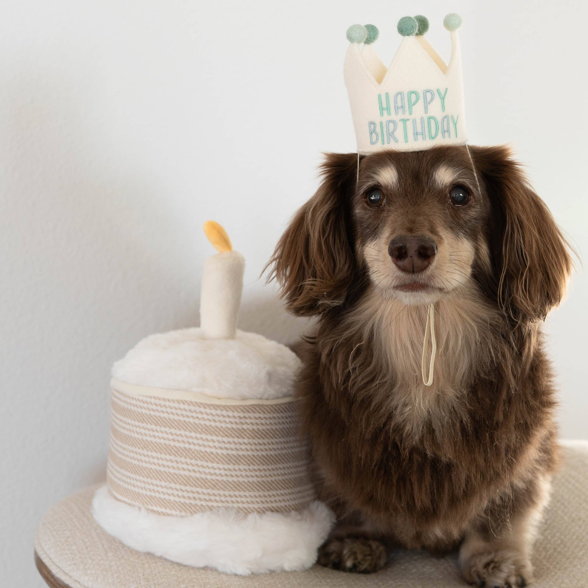 Lambwolf Collective - Burrow Toy - Birthday Cake