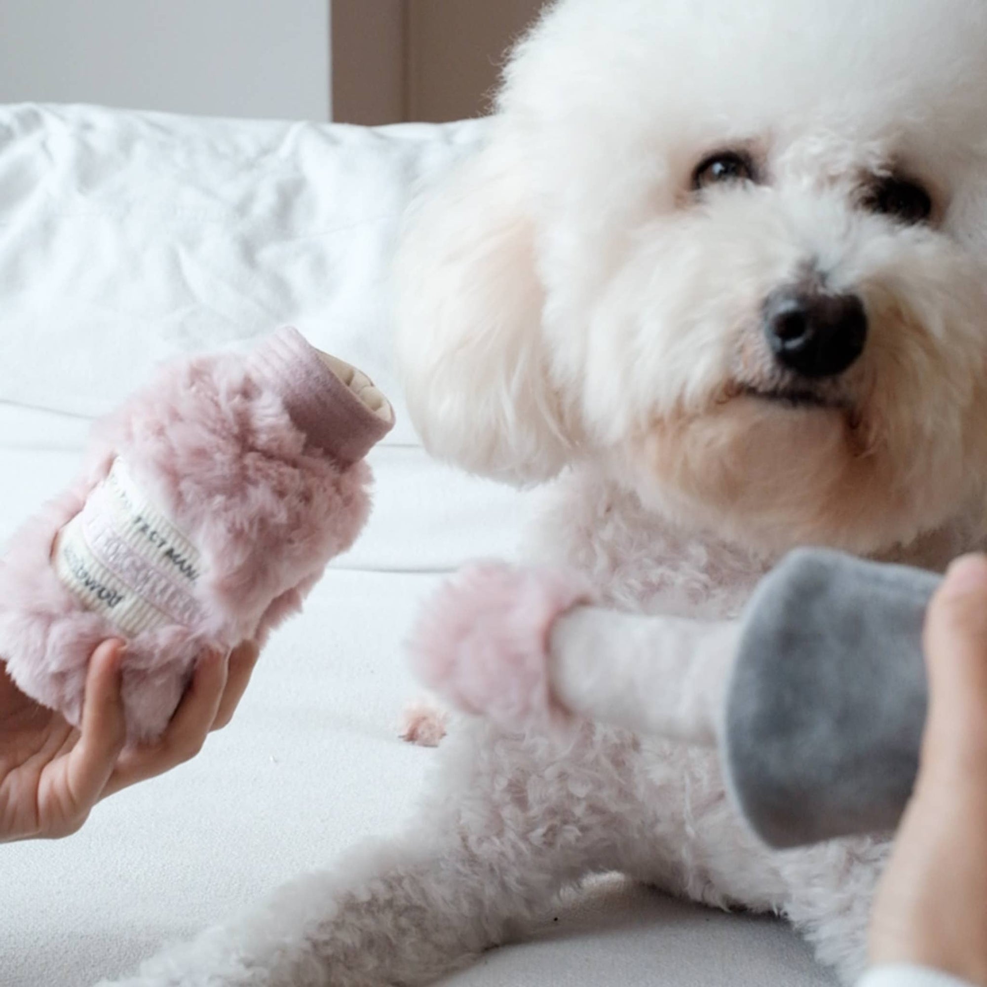 Lambwolf Collective - Enrichment Snuffle Dog Toy - Nail Polish