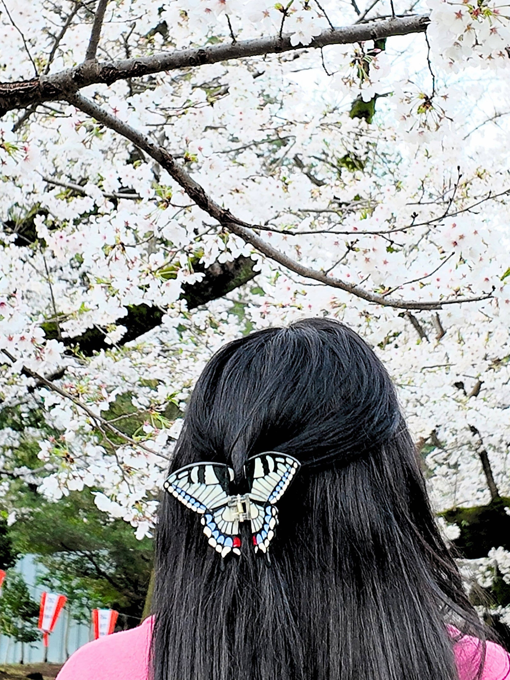 Solar Eclipse - Hand-Painted Swallowtail Butterfly Claw Hair Clip - White