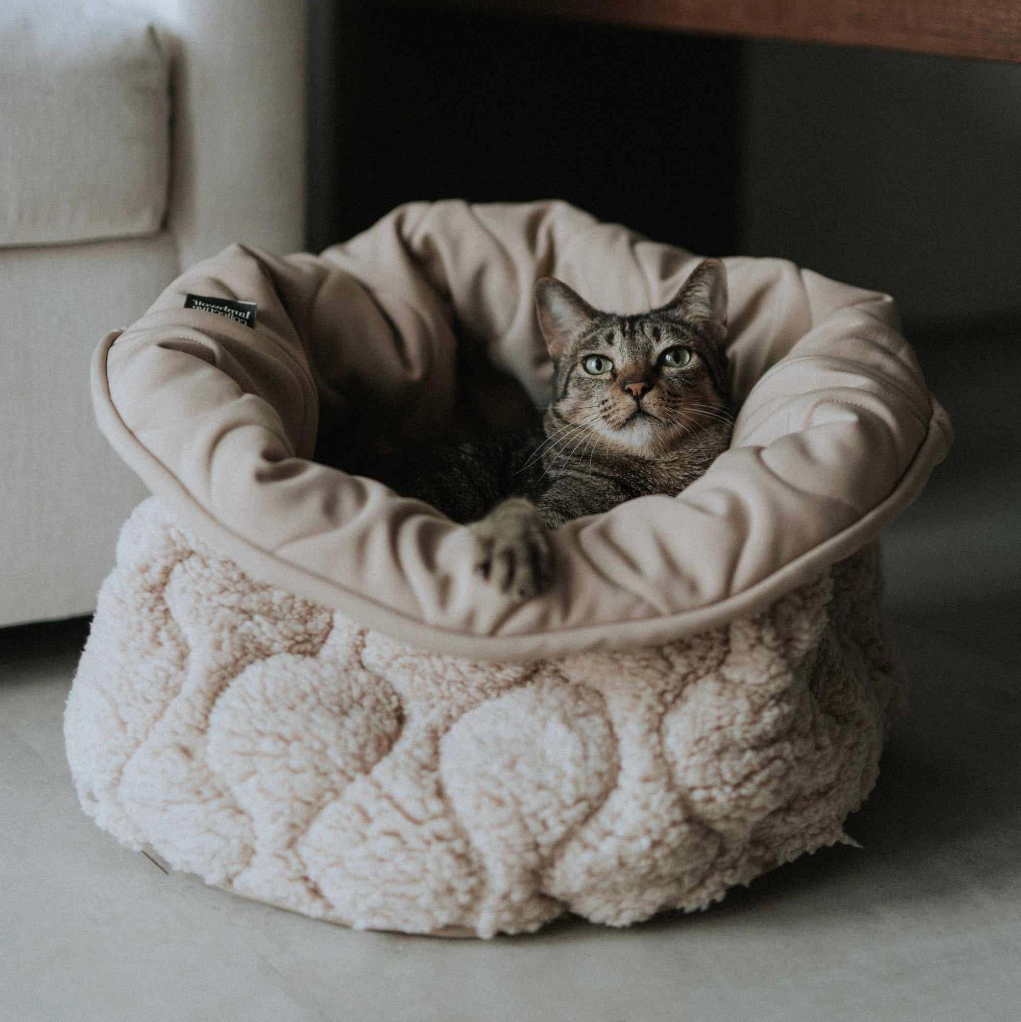 Lambwolf Collective - TAART Reversible Petite Pet Bed - Camel
