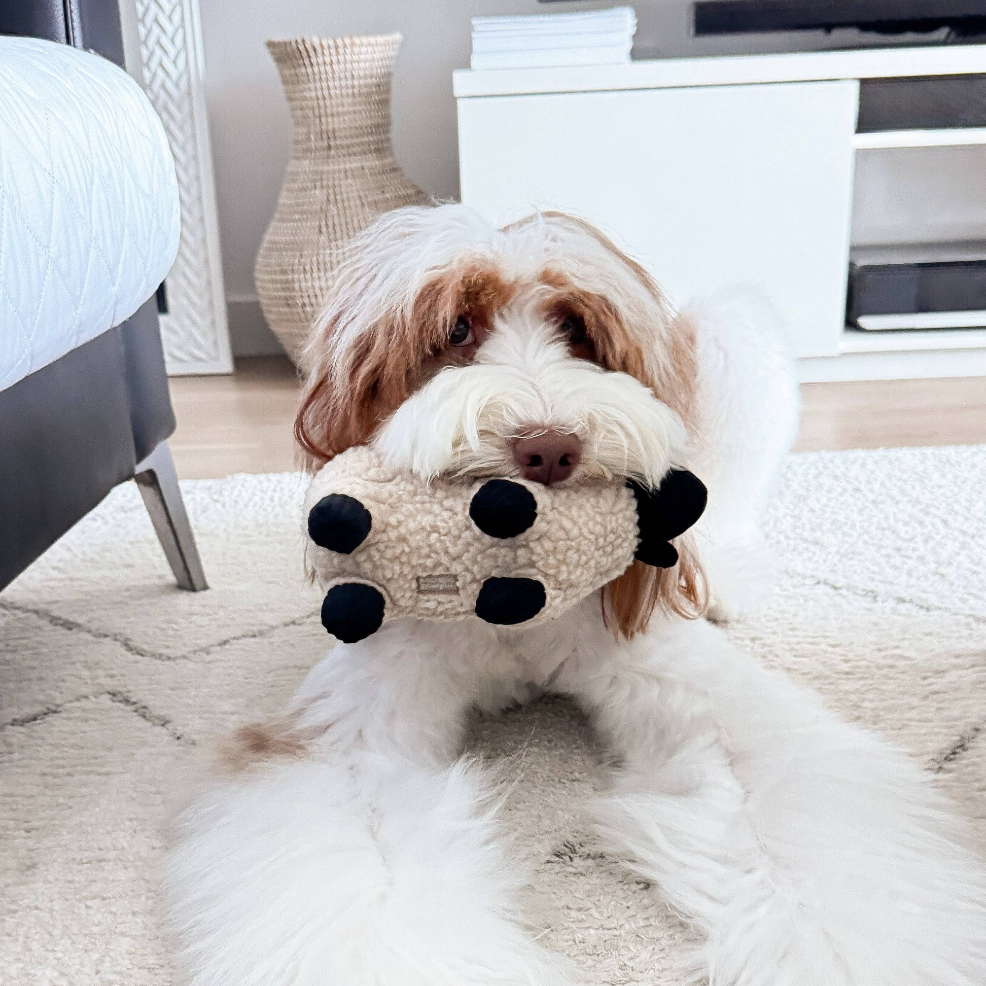 Lambwolf Collective - Squeaker + Cuddle Toy - Dolly the Lamb