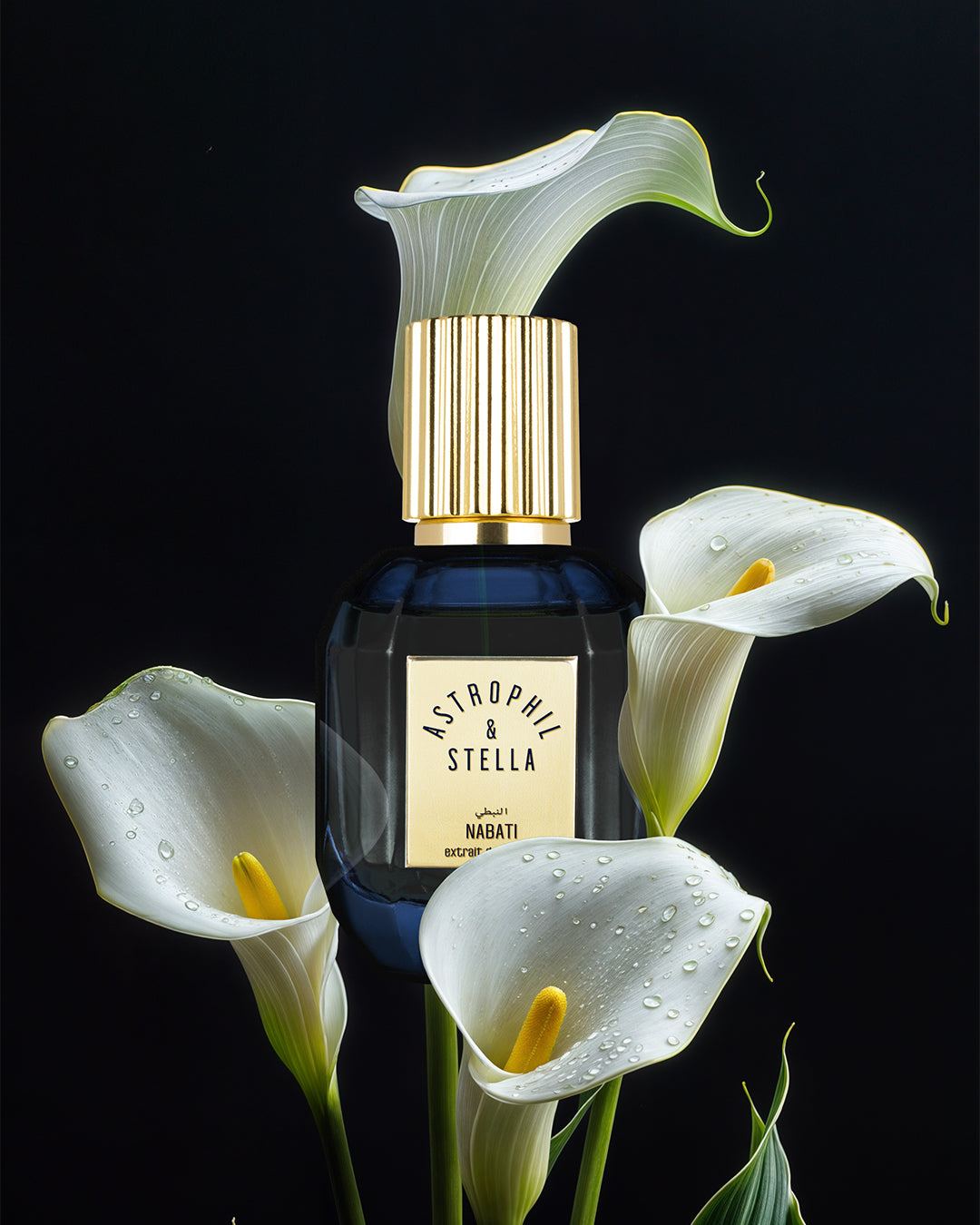 Astrophil & Stella - Nabati