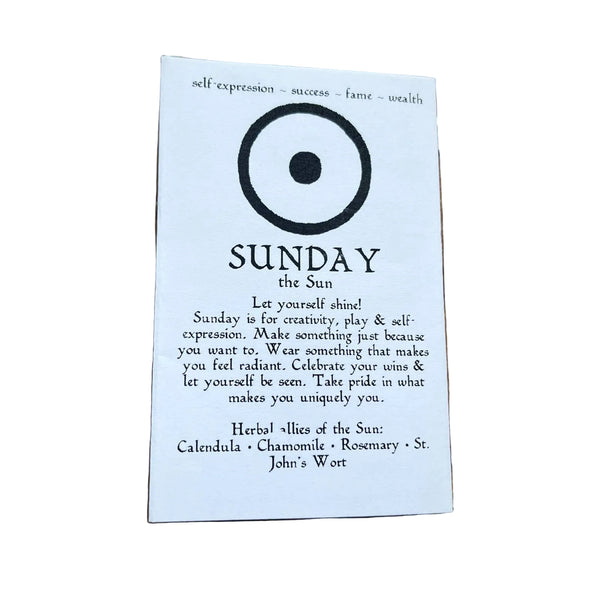 Planetary Days - Mini Zine